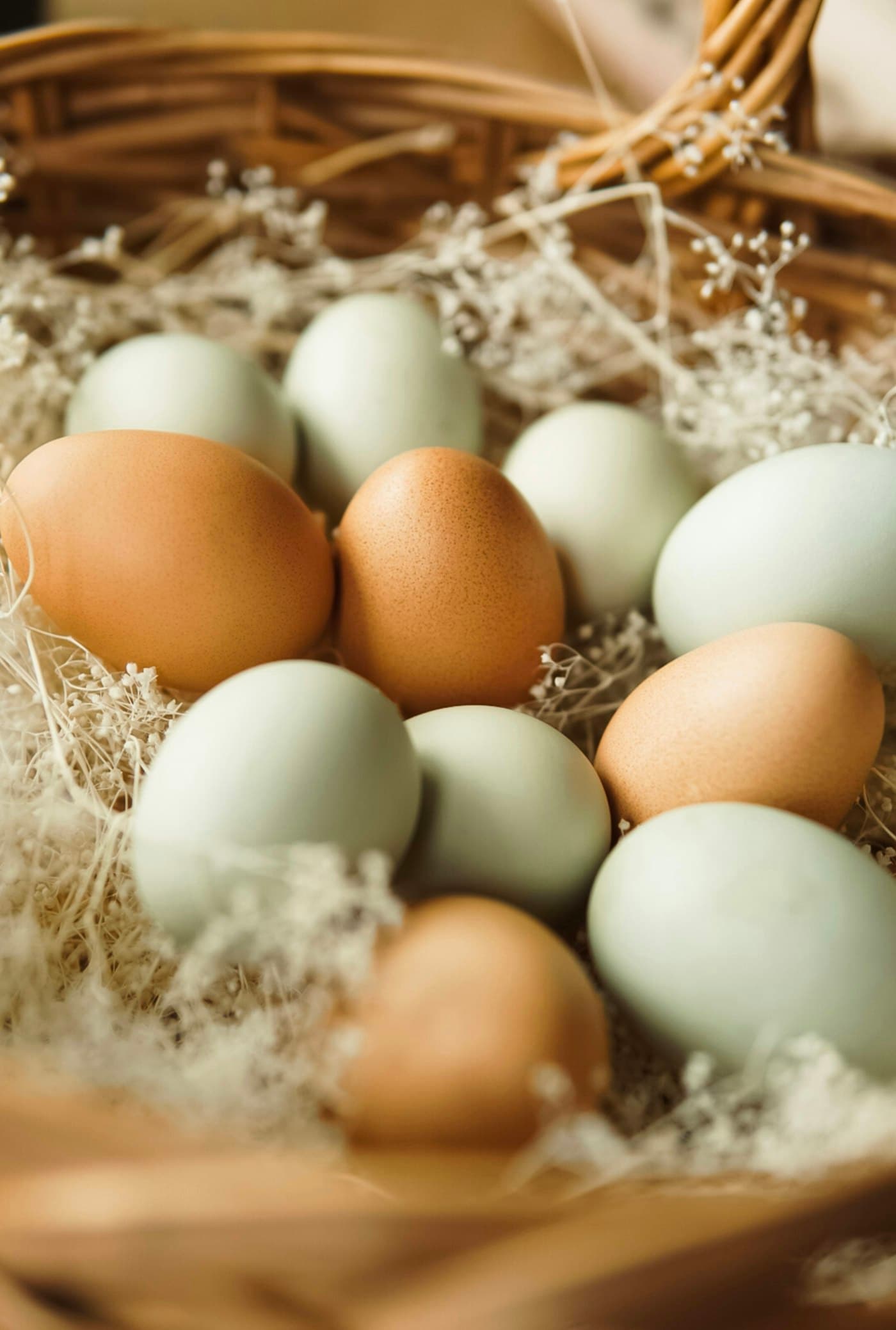 A basket of fresh hen eggs