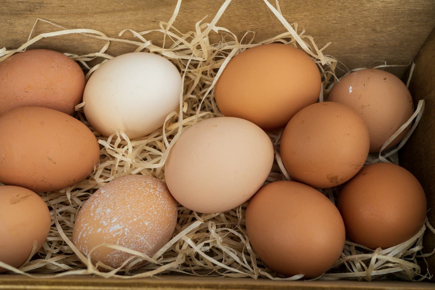 Eggs gathered in straw