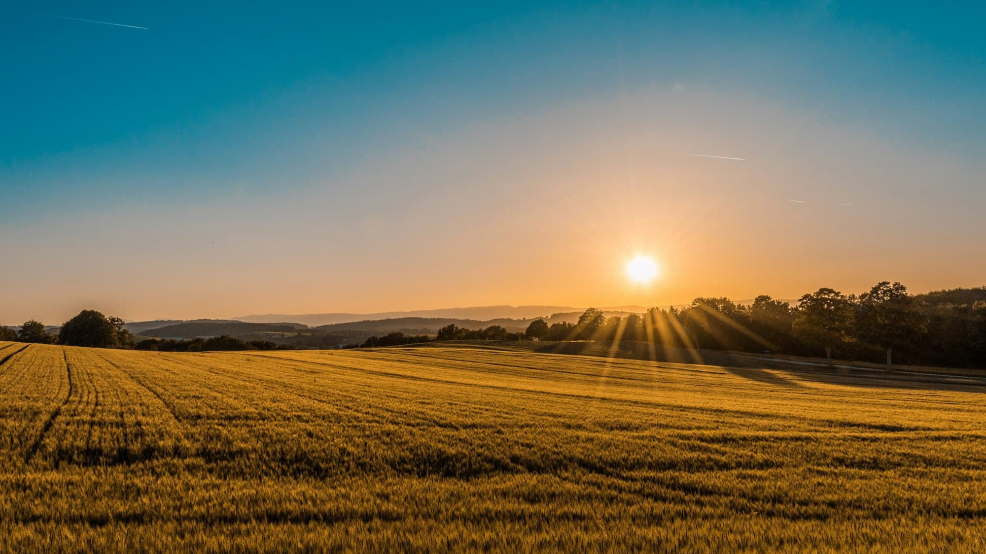 Sunrise over the farm fields